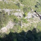 Is Via Ferrata Right for Me? What First-Time Adventurers Need to Know