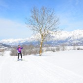 Cross Country Skiing Revealed!