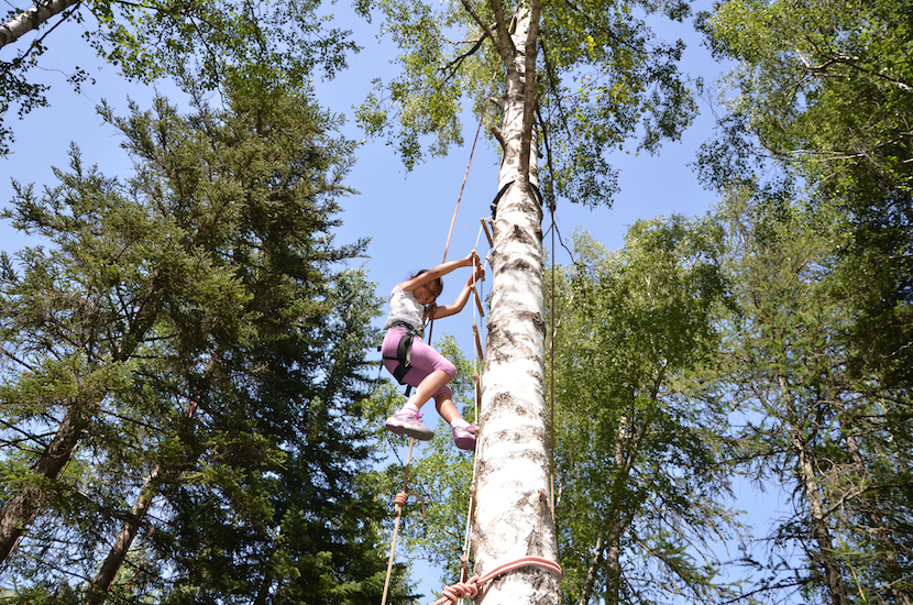 What Is Recreational Tree Climbing? - Common Ground Adventures