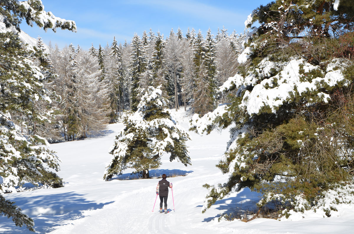 Nordic Skiing & Cross Country Skiing