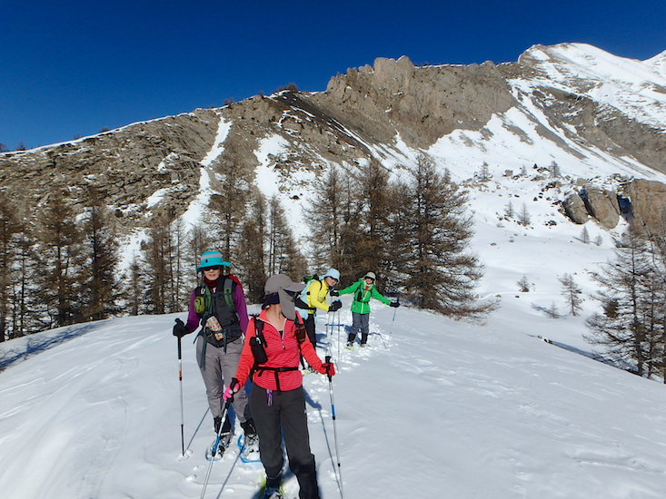 Le concept du Ski-Raquette : les avantages de la raquette à neige et le  plaisir de la glisse. - Skis Raquettes