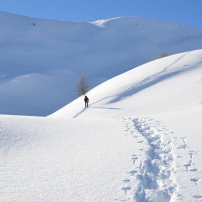 snowshoeing in the Alps winter walking