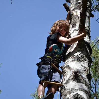 tree climbing child hugging tree
