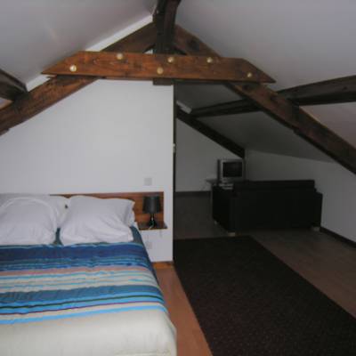 The Queyrel Apartment near St Bonnet in the Alps bedroom
