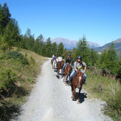 Horse Riding in the Alps along a track