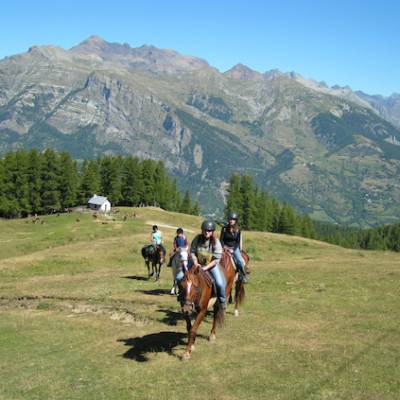 Horse riding across alpine meadows