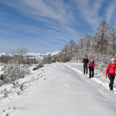 Nordic skiing in the Southern french Alps