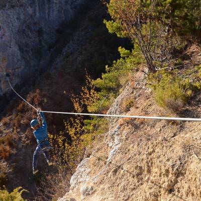 Tree Climbing in the French Alps