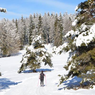 classic-cross-country-skiing-in-the-Southern-French-Alps.jpg