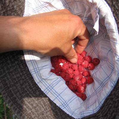 raspberries.jpg