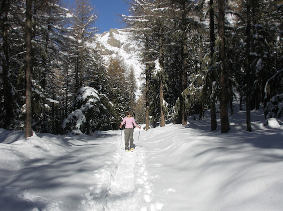 Long Weekend Guided Snowshoeing in the Alps tailor made to you